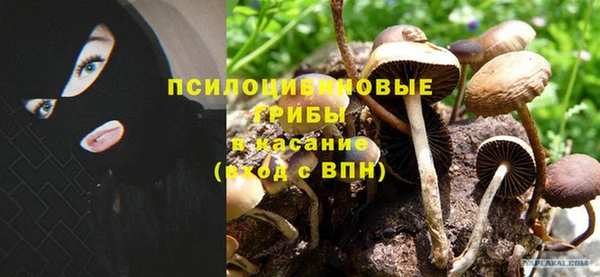 спайс Абаза