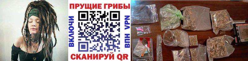 Псилоцибиновые грибы Cubensis  Мостовской 